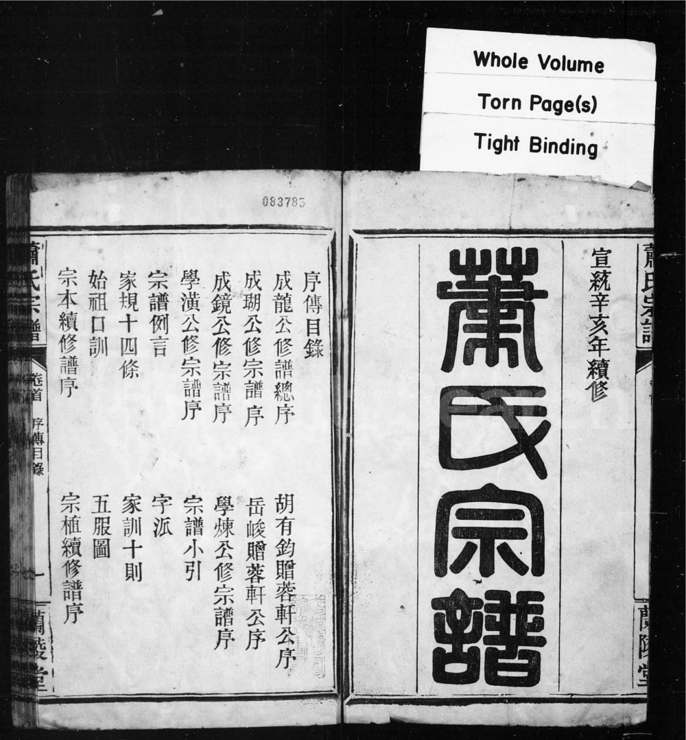 图片[2]-湖北武汉萧(肖)氏宗谱（兰陵堂）电子版PDF下载-中华家谱网