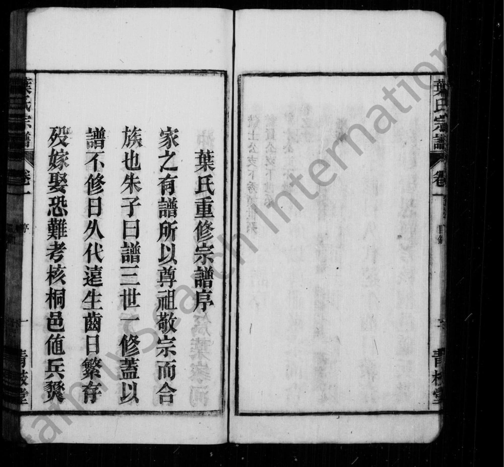 图片[3]-安徽桐城桐邑叶氏宗谱（青枝堂）电子版PDF下载-中华家谱网