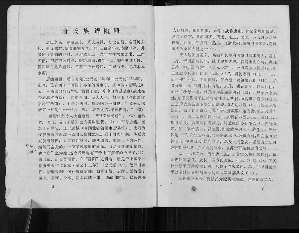图片[3]-广西河池都安县唐氏族谱电子版PDF下载-中华家谱网