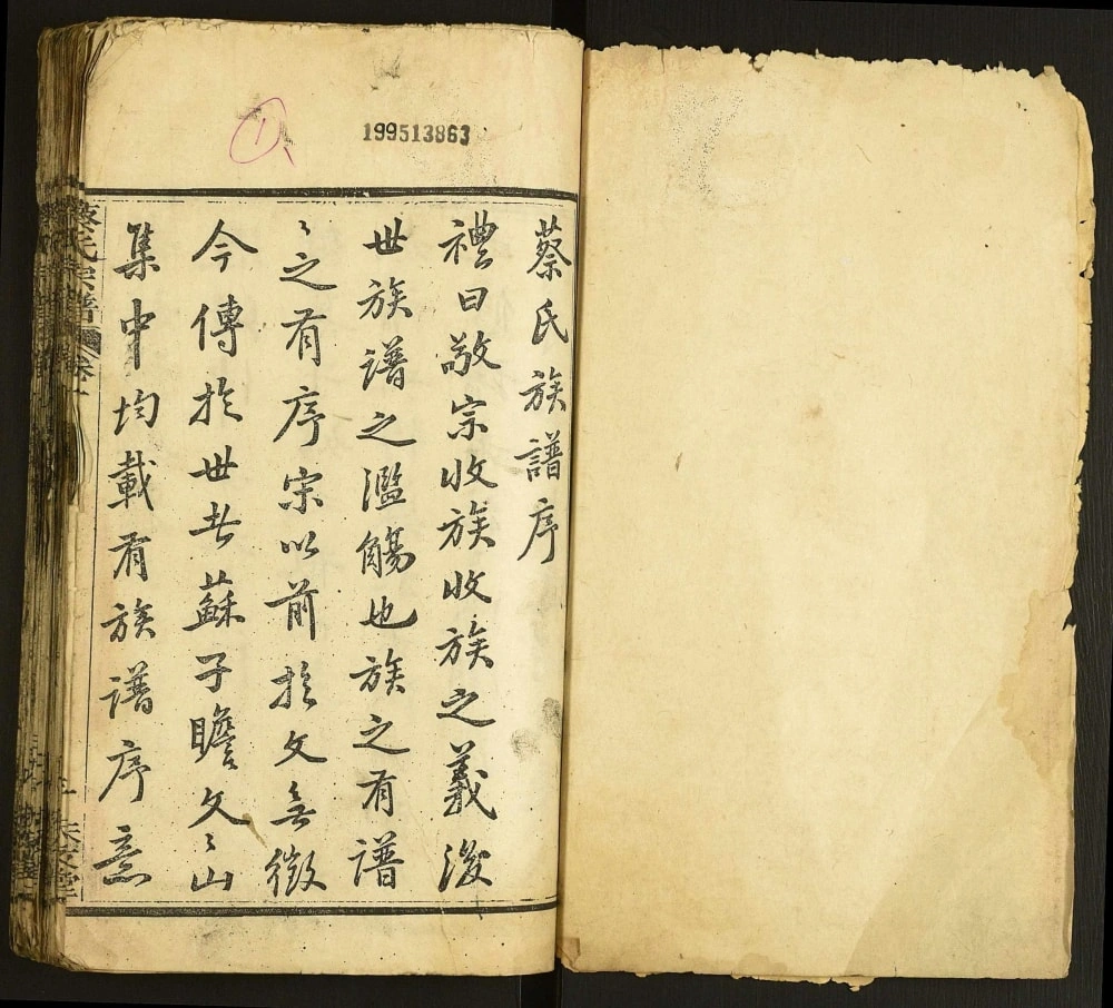图片[2]-湖北武汉蔡氏宗谱（朱友堂）电子版PDF下载-中华家谱网