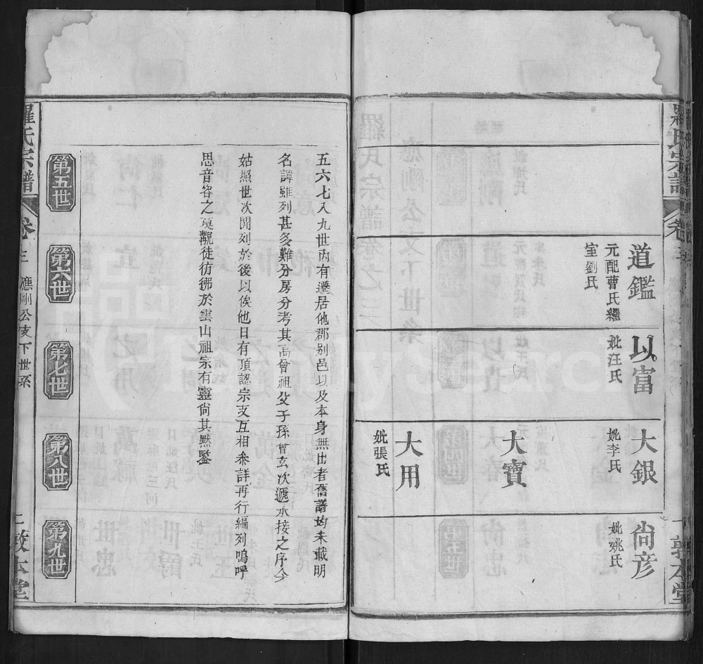 图片[5]-湖北武汉新洲区罗氏宗谱（敦本堂）电子版PDF下载-中华家谱网