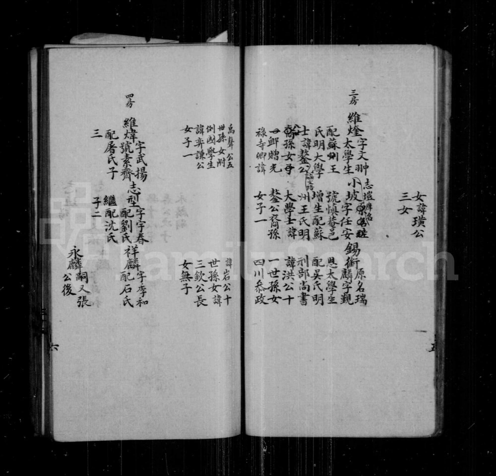 图片[7]-江苏苏州松陵叶氏之谱电子版PDF下载-中华家谱网