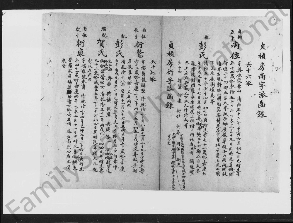图片[3]-湖南湘乡大界曾氏四房五房草谱电子版PDF下载-中华家谱网