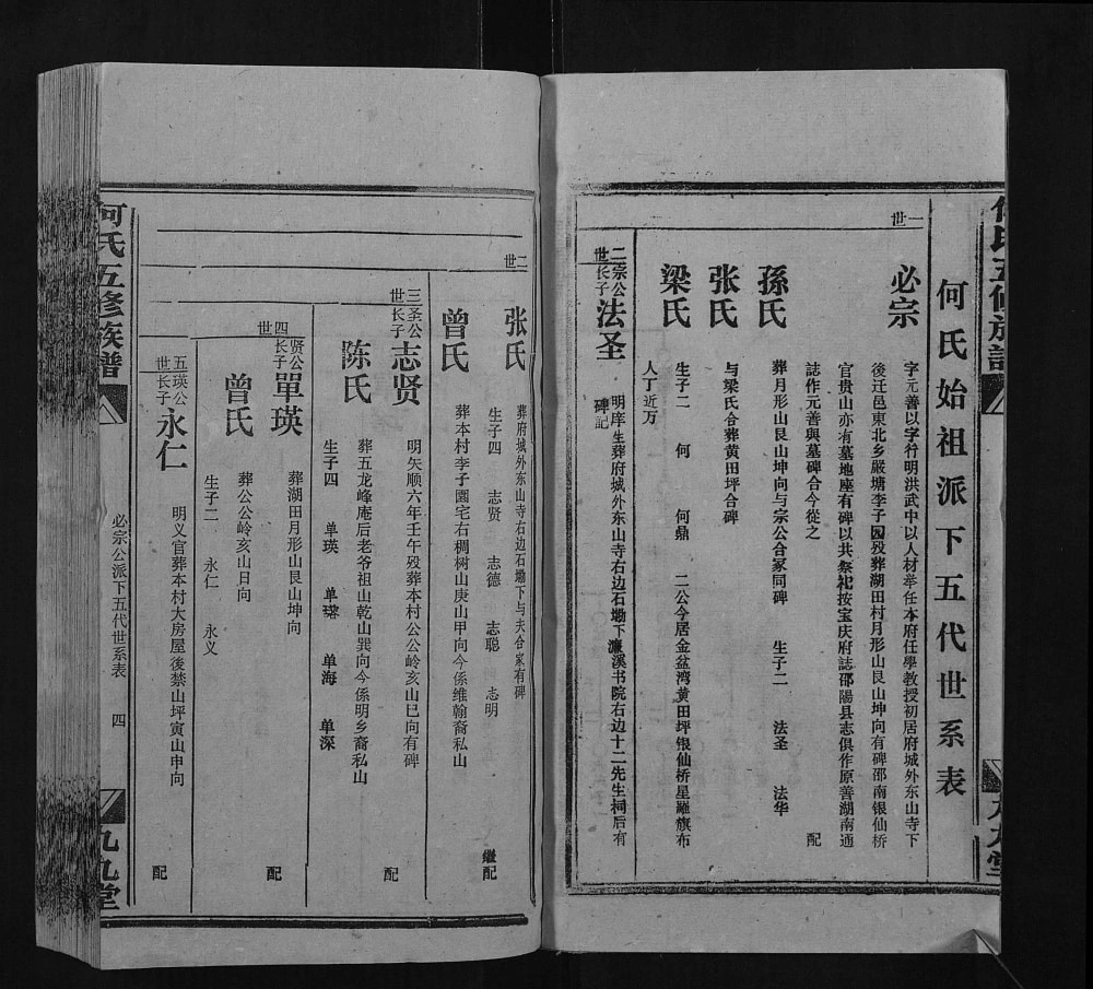 图片[8]-湖南邵阳何氏五修族谱（九九堂）电子版PDF下载-中华家谱网
