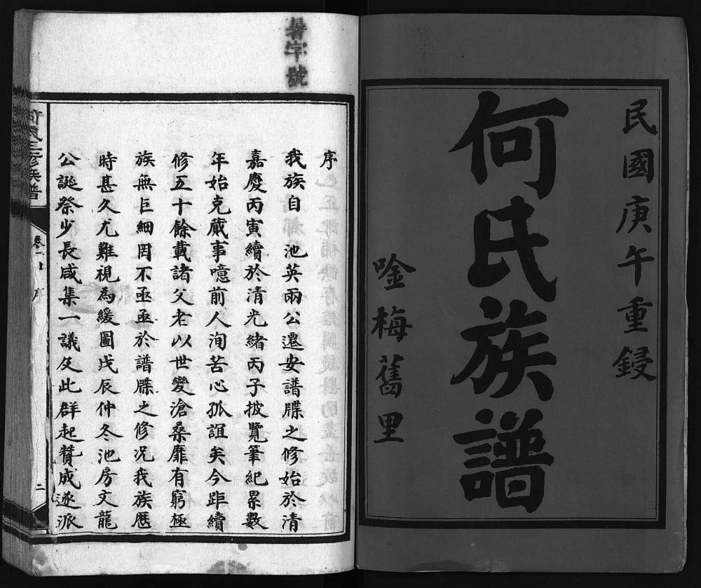 图片[2]-湖南益阳安化县何氏三修族谱电子版PDF下载-中华家谱网