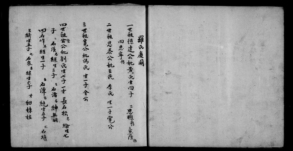 图片[3]-台湾省罗氏族谱电子版PDF下载-中华家谱网