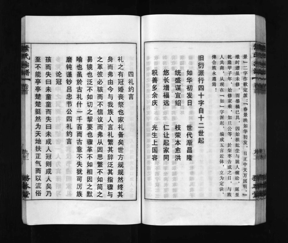 图片[4]-安徽安庆怀宁县叶氏宗谱（务本堂）电子版PDF下载-中华家谱网