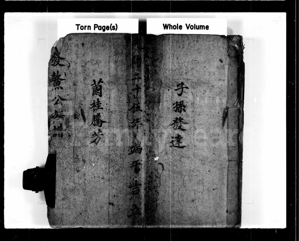 图片[1]-香港新界屏山石埔村林氏族谱电子版PDF下载-中华家谱网