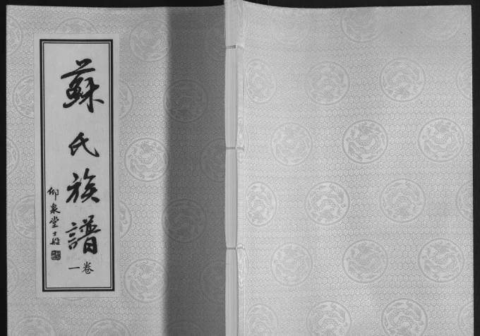 江苏连云港赣榆区苏氏族谱(仰泉堂)电子版PDF下载-中华家谱网