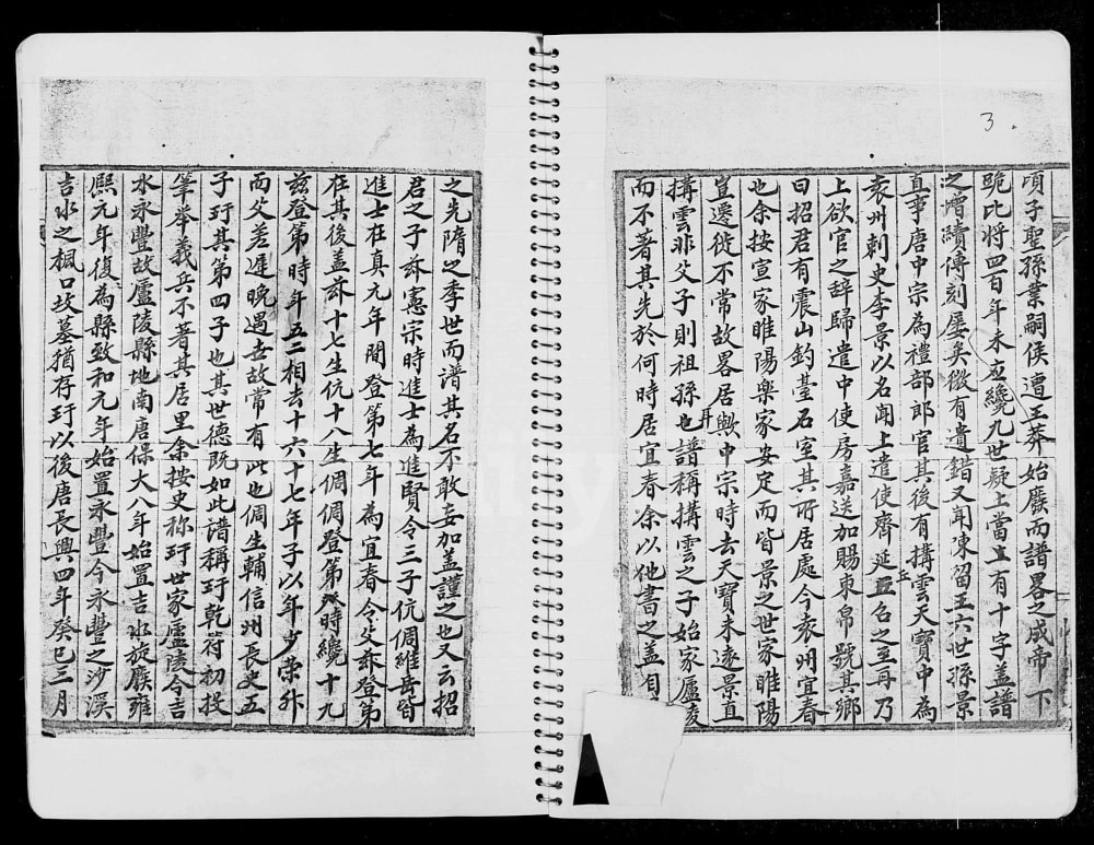 图片[3]-香港粉璧岭乡彭氏族谱电子版PDF下载-中华家谱网