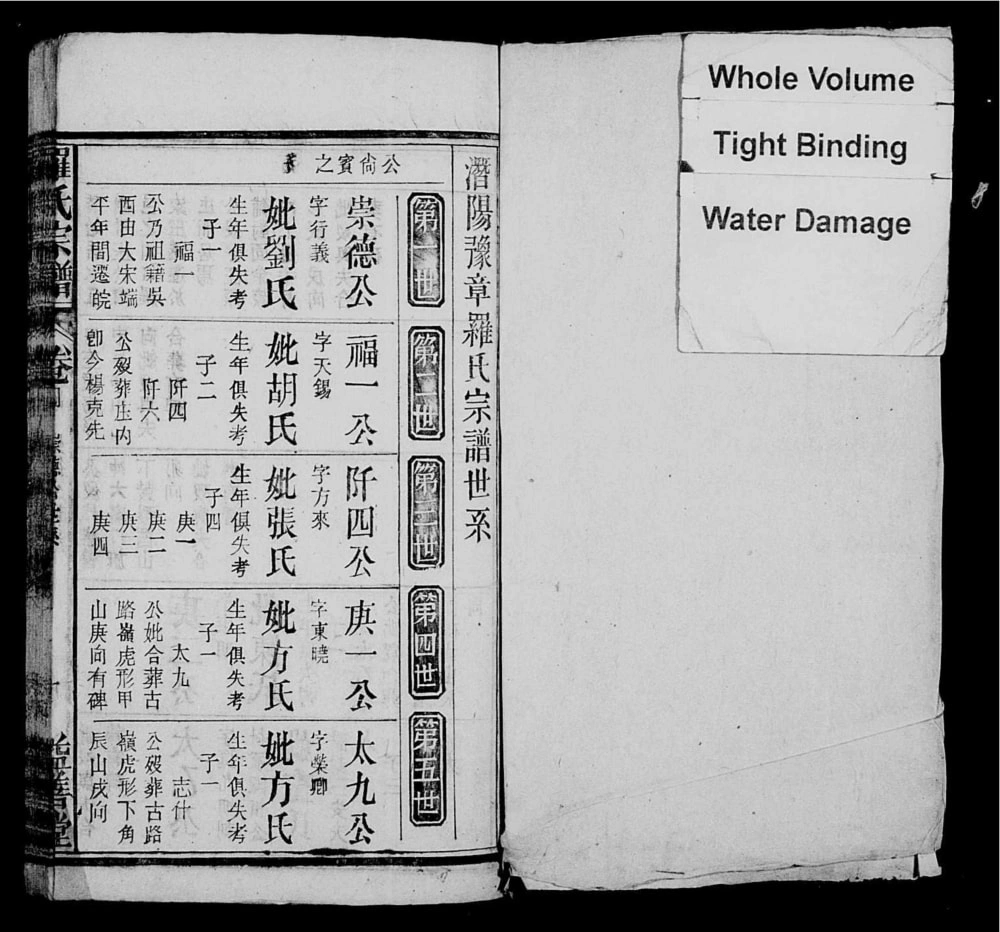 图片[5]-安徽潜山罗氏宗谱（益善堂）电子版PDF下载-中华家谱网