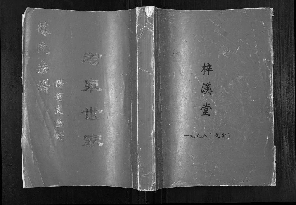 图片[1]-湖北孝感孝昌县苏氏宗谱阳舒支系谱（武功堂、梓溪堂）电子版PDF下载-中华家谱网
