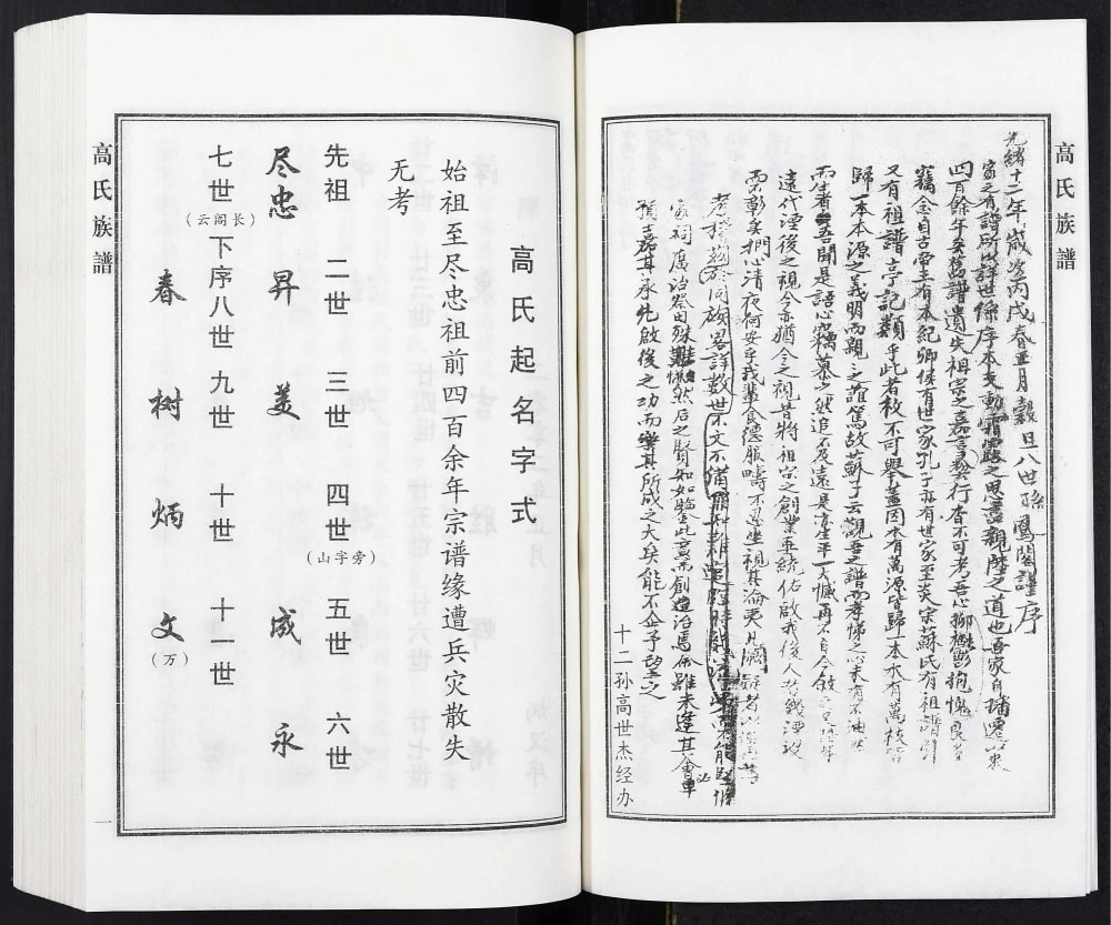 图片[3]-河北泊头市寺门村高氏族谱电子版PDF下载-中华家谱网