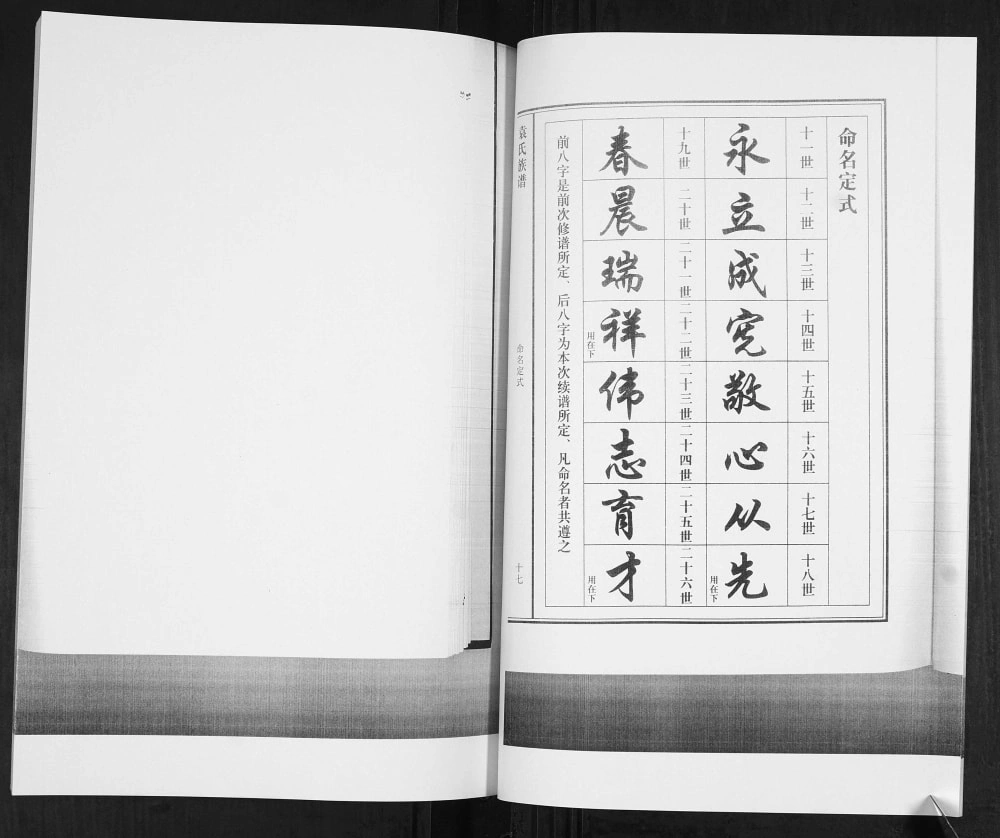 图片[4]-山东青岛即墨袁氏族谱电子版PDF下载-中华家谱网