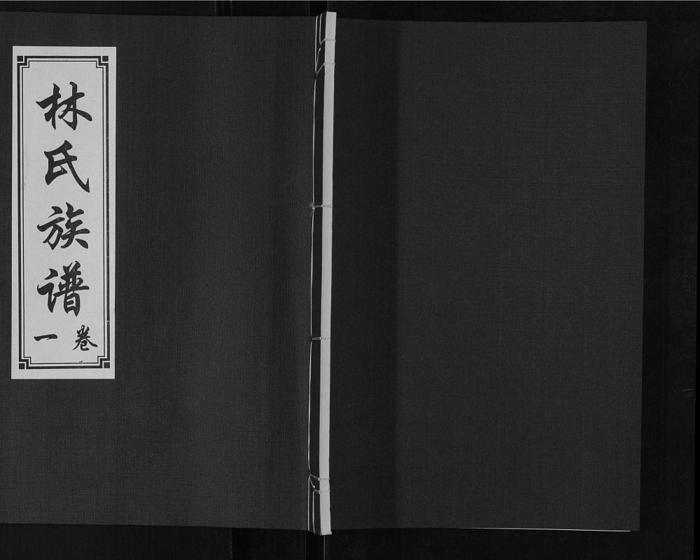 图片[1]-山东济宁汶上县林氏族谱（问礼堂）电子版PDF下载-中华家谱网