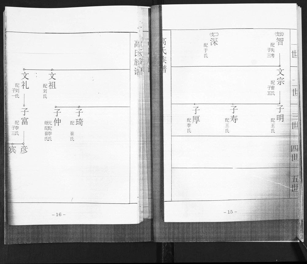图片[5]-山东青岛即墨龙湾头高氏族谱电子版PDF下载-中华家谱网