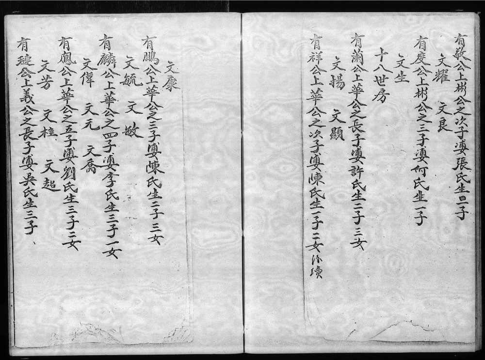 图片[7]-香港大埔坑吓蒲村林氏族谱电子版PDF下载-中华家谱网