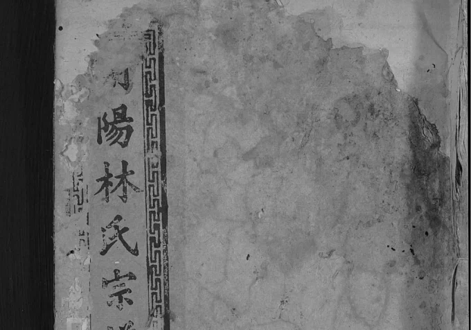 浙江衢州开化县开阳阙下林氏宗谱（拾德堂）电子版PDF下载-中华家谱网