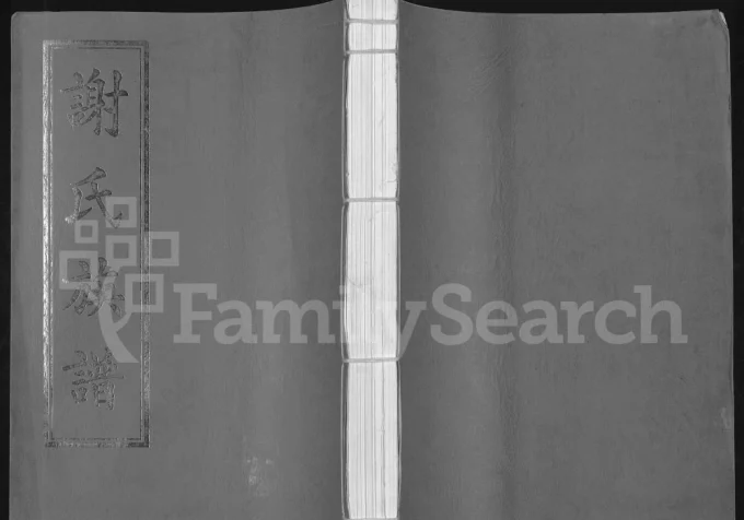 广东雷州谢氏族谱(宝树堂)电子版PDF下载-中华家谱网