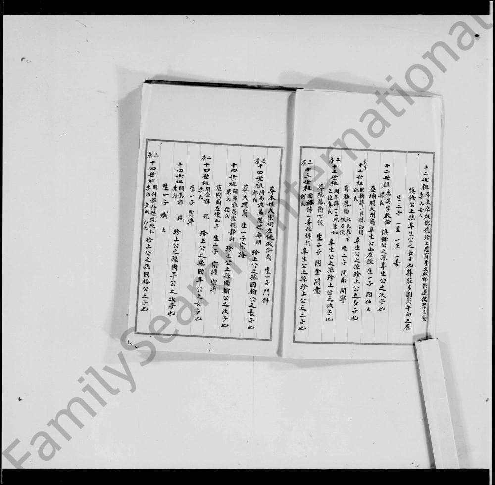 图片[4]-广东佛山南海紫洞三华里罗氏族谱电子版PDF下载-中华家谱网