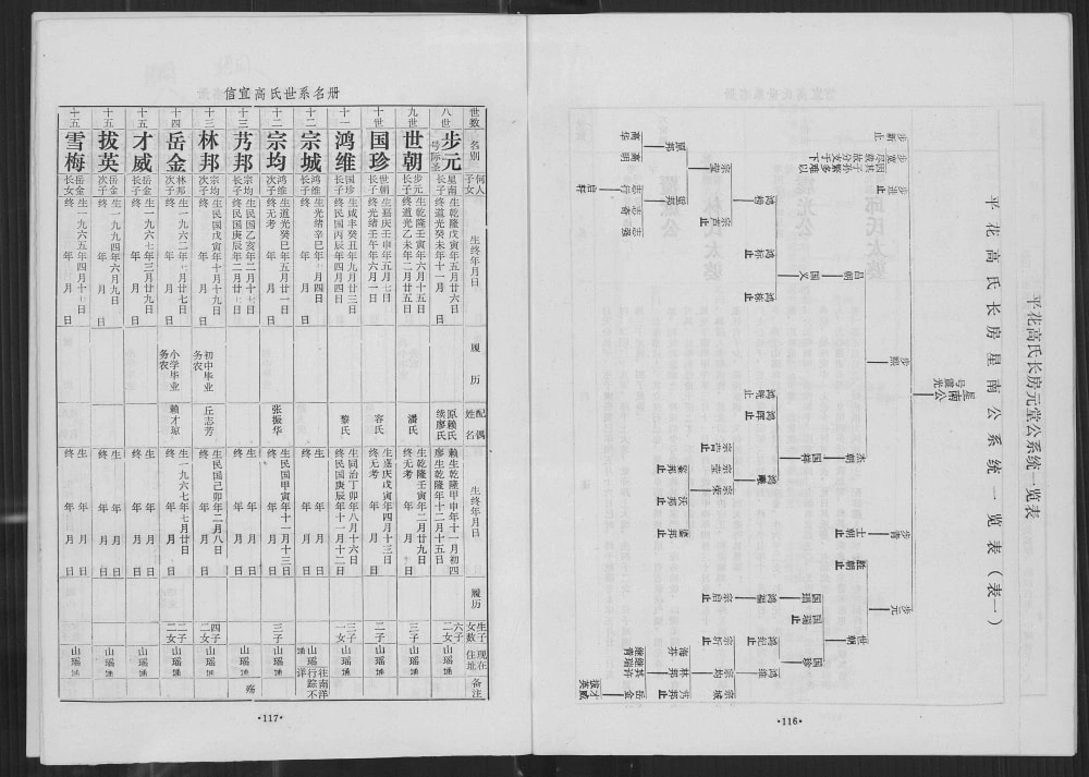 图片[6]-广东信宜高氏族谱电子版PDF下载-中华家谱网