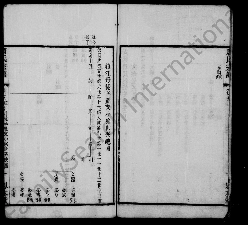 图片[3]-江苏江阴安乐唐氏宗谱（思本堂）电子版PDF下载-中华家谱网