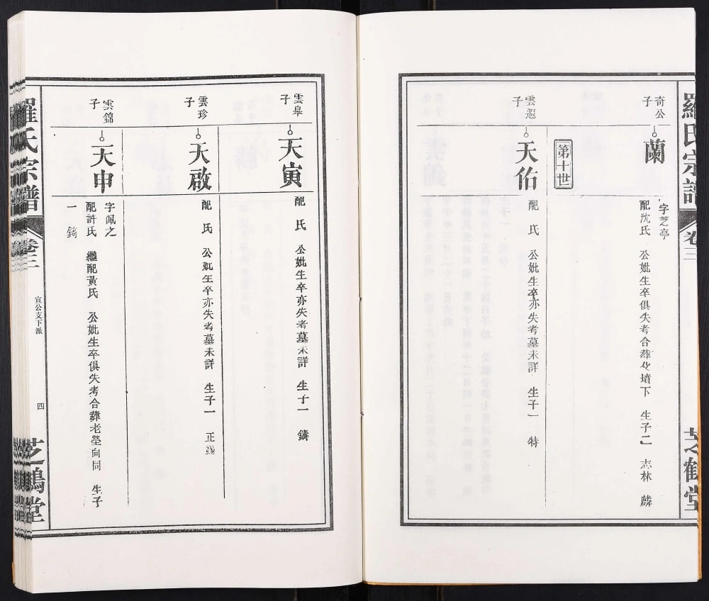 图片[8]-安徽合肥罗氏宗谱（芝鹤堂）电子版PDF下载-中华家谱网