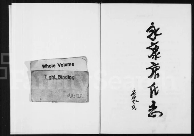 浙江永康唐氏志电子版PDF下载-中华家谱网