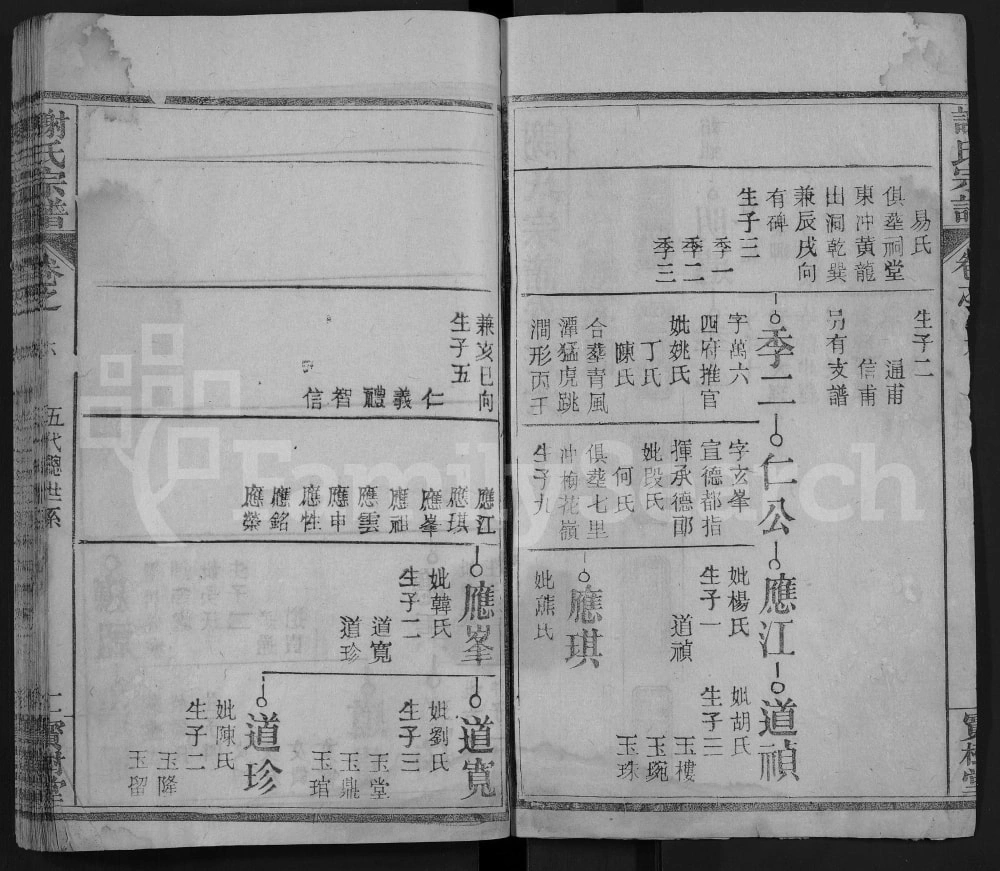 图片[5]-湖北麻城谢氏宗谱（宝树堂）电子版PDF下载-中华家谱网