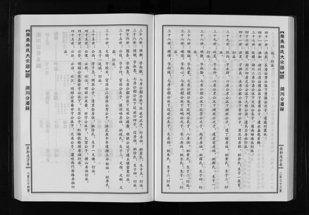 图片[7]-浙江乐清乐东林氏大宗谱电子版PDF下载-中华家谱网