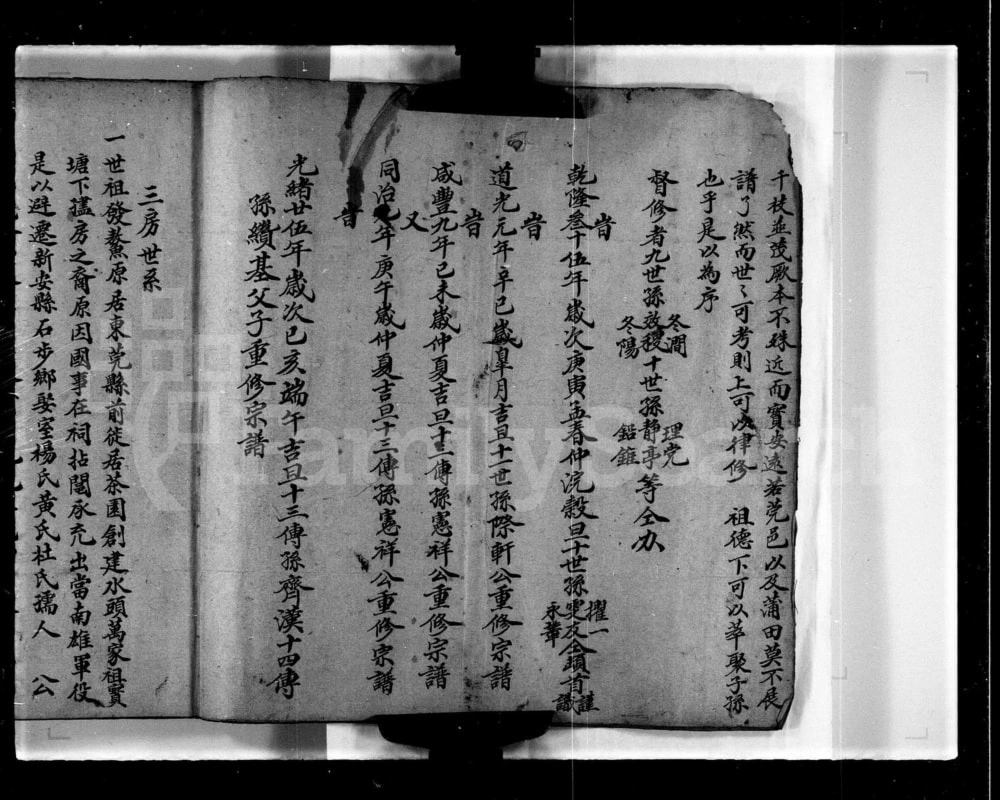 图片[3]-香港新界屏山石埔村林氏族谱电子版PDF下载-中华家谱网