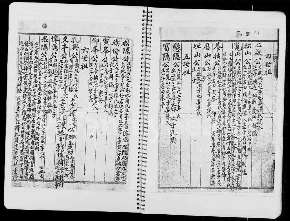 图片[5]-香港粉璧岭乡彭氏族谱电子版PDF下载-中华家谱网