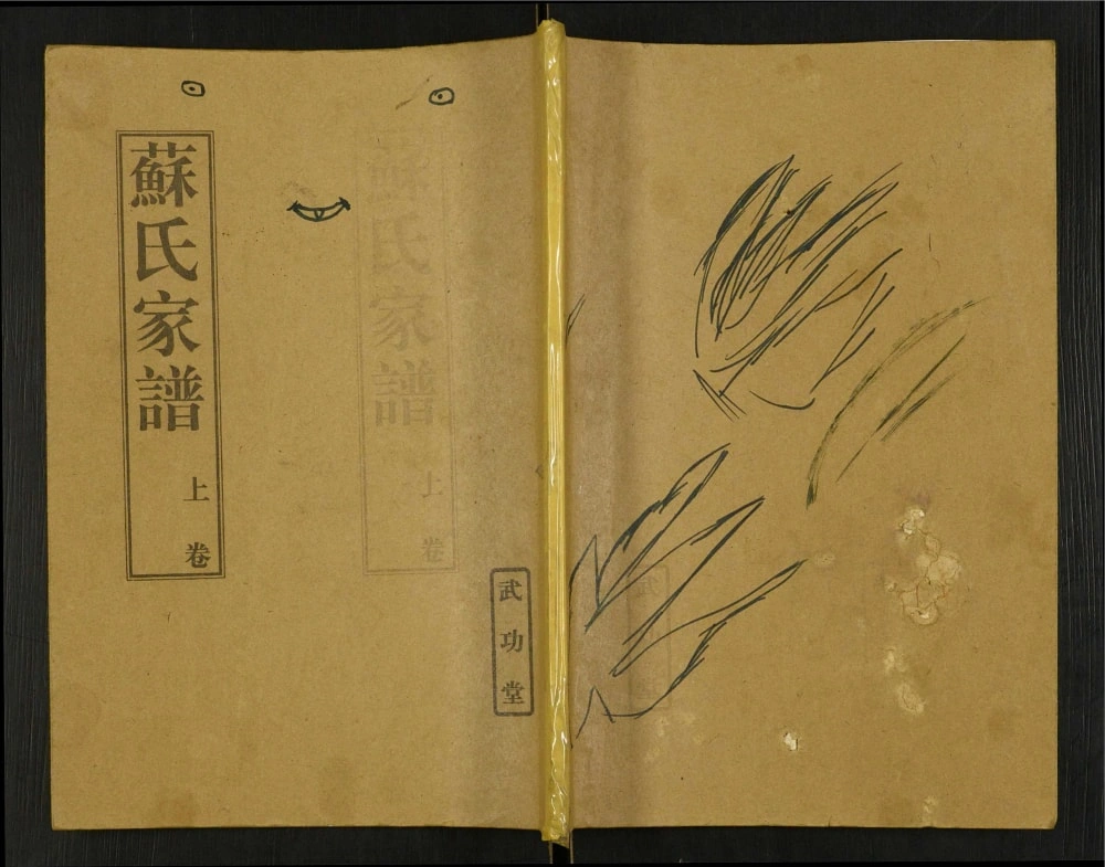 图片[1]-江苏盐城建湖县苏氏家谱（武功堂）电子版PDF下载-中华家谱网