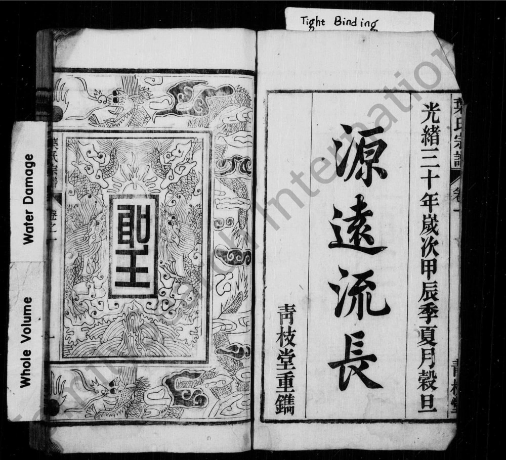 图片[2]-安徽桐城桐邑叶氏宗谱（青枝堂）电子版PDF下载-中华家谱网