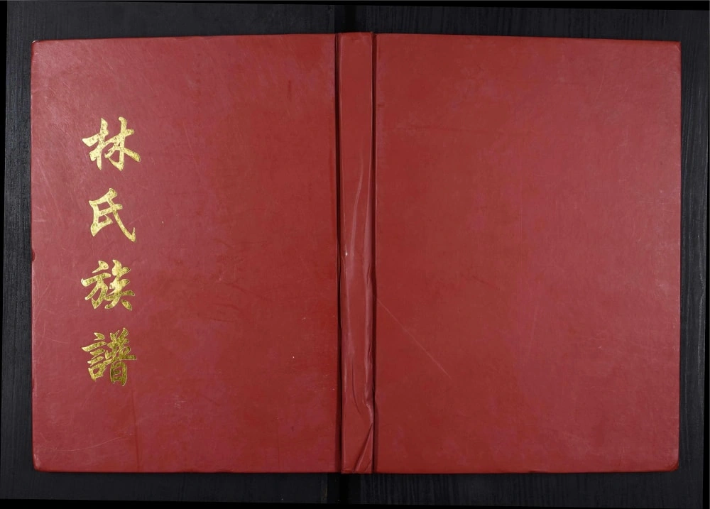 图片[1]-四川泸州古蔺县林氏族谱（十德堂）电子版PDF下载-中华家谱网