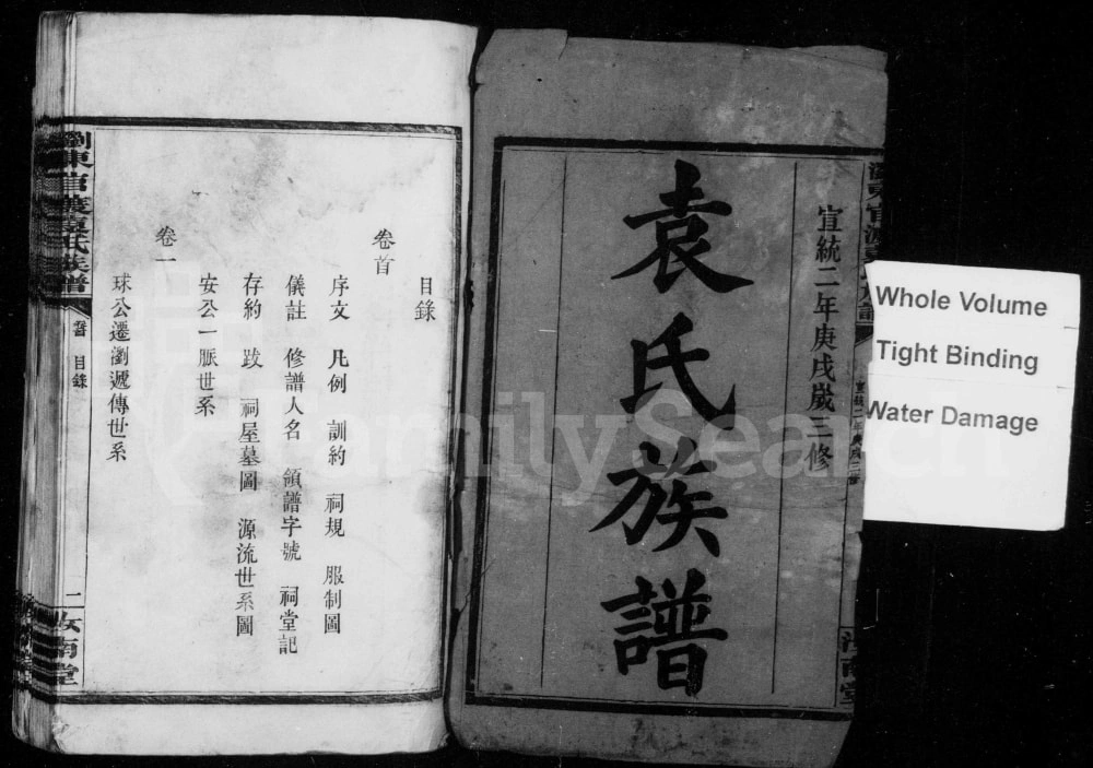 图片[1]-湖南浏阳浏东官渡袁氏族谱（汝南堂）电子版PDF下载-中华家谱网
