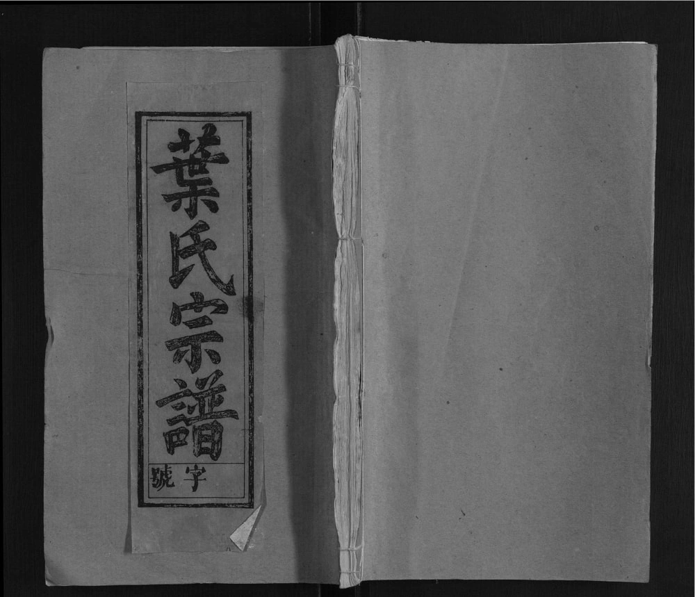 图片[1]-安徽安庆太湖县叶氏宗谱（双榴堂）电子版PDF下载-中华家谱网