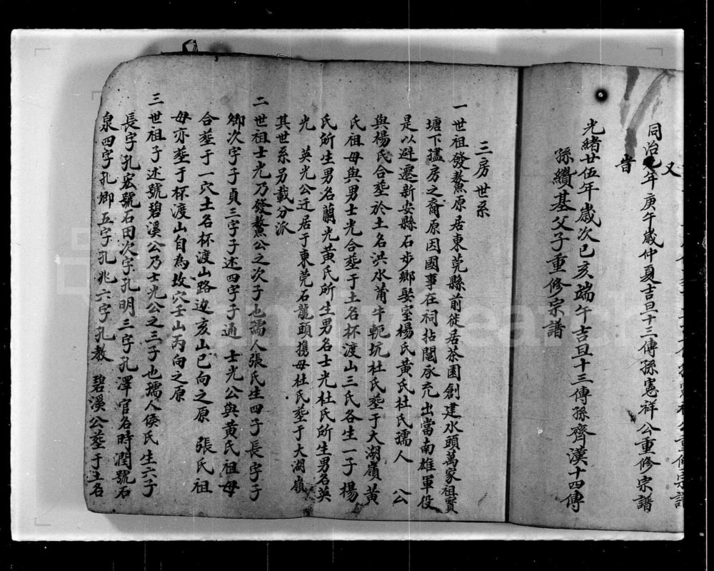 图片[4]-香港新界屏山石埔村林氏族谱电子版PDF下载-中华家谱网
