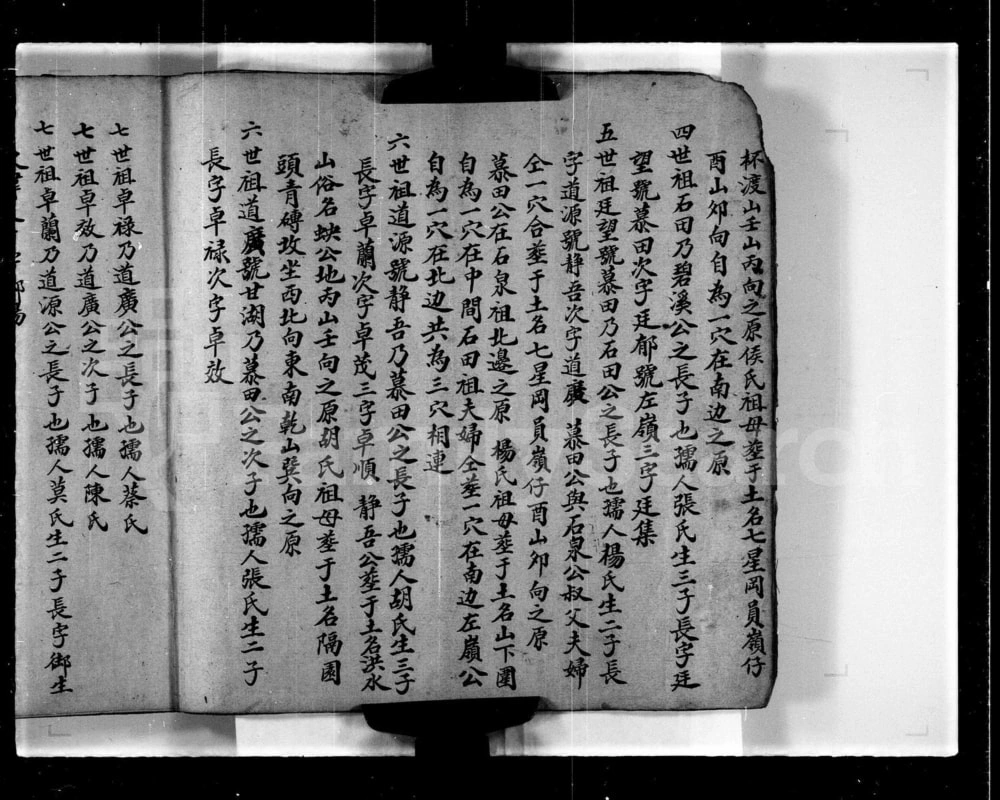图片[5]-香港新界屏山石埔村林氏族谱电子版PDF下载-中华家谱网