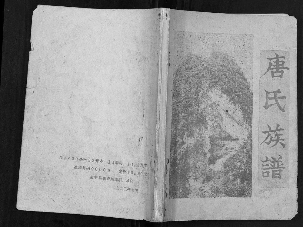 图片[1]-广西河池都安县唐氏族谱电子版PDF下载-中华家谱网