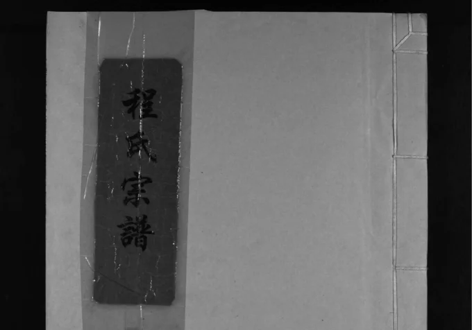 浙江乐清南沙岙程氏宗谱电子版PDF下载-中华家谱网