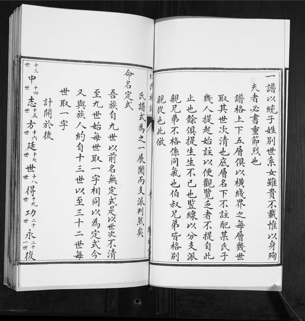 图片[3]-山东青岛林氏族谱（睦族堂）电子版PDF下载-中华家谱网