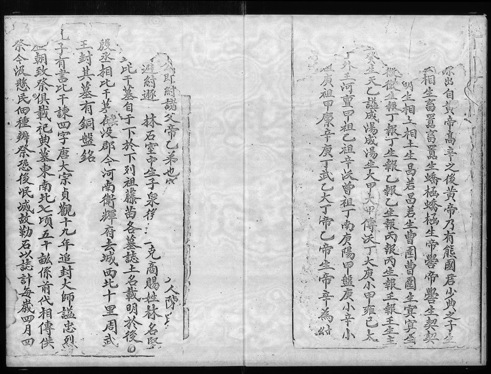 图片[2]-香港大埔坑吓蒲村林氏族谱电子版PDF下载-中华家谱网