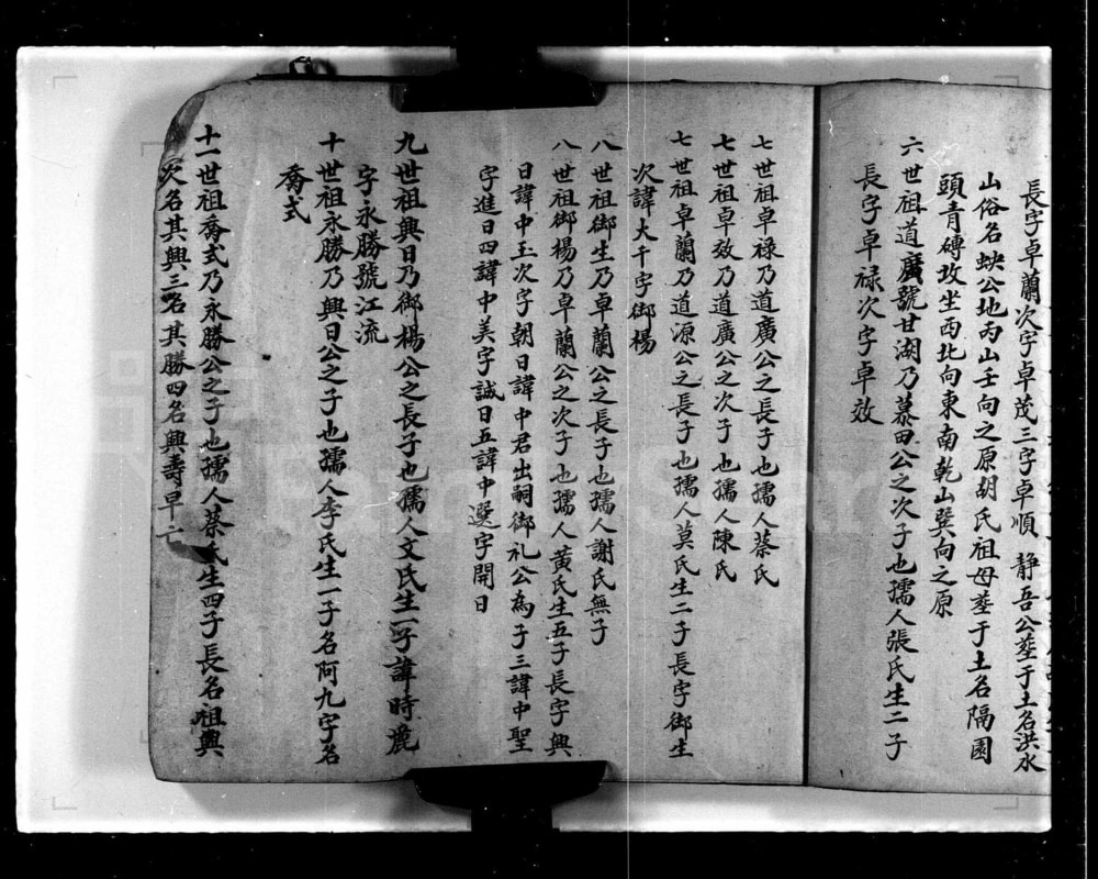 图片[6]-香港新界屏山石埔村林氏族谱电子版PDF下载-中华家谱网