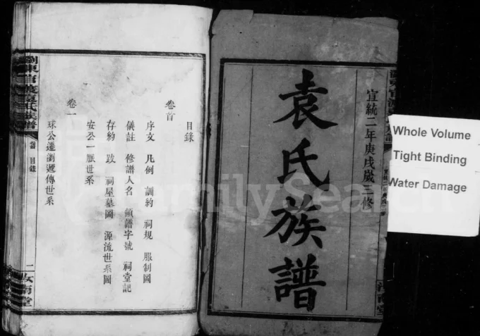 湖南浏阳浏东官渡袁氏族谱(汝南堂)电子版PDF下载-中华家谱网