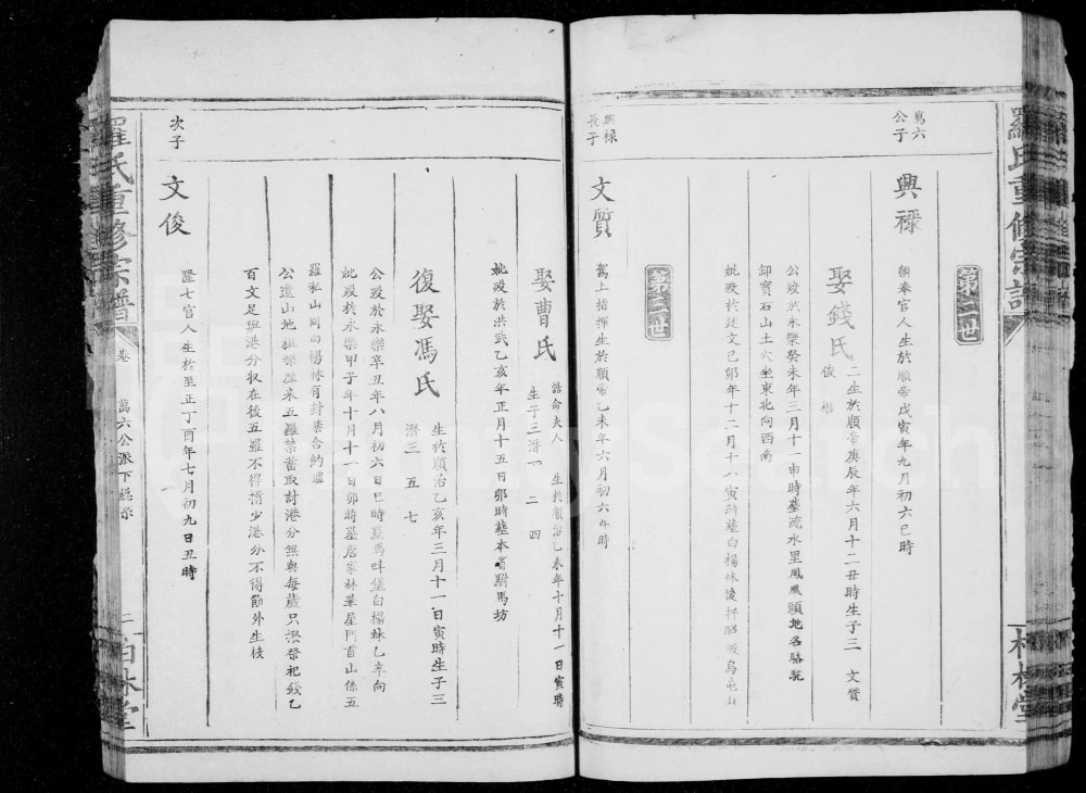 图片[6]-湖北大冶罗氏重修族谱（柏林堂）电子版PDF下载-中华家谱网