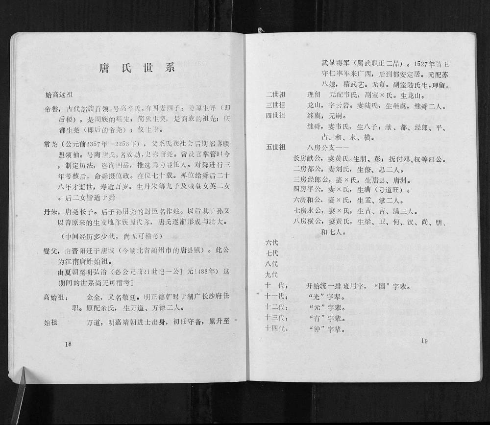 图片[5]-广西河池都安县唐氏族谱电子版PDF下载-中华家谱网