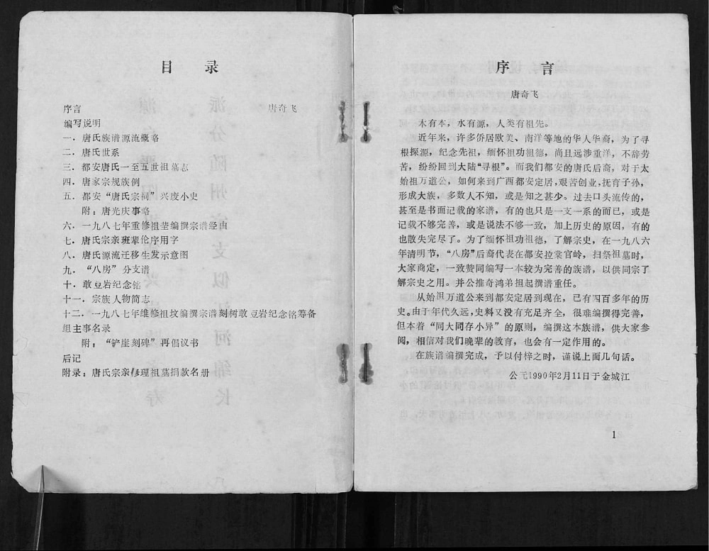 图片[2]-广西河池都安县唐氏族谱电子版PDF下载-中华家谱网