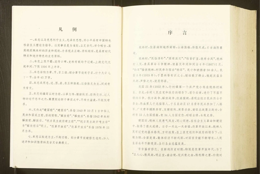 图片[5]-山东海阳桃林村志电子版PDF下载-中华家谱网