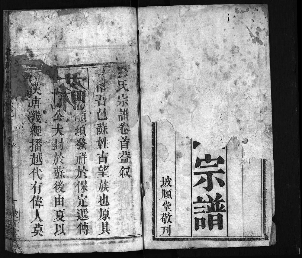 图片[1]-湖北黄冈苏氏宗谱（坡頥堂）电子版PDF下载-中华家谱网